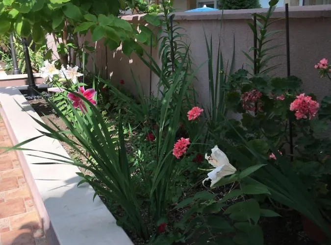 Апарт-отель Vase 3*