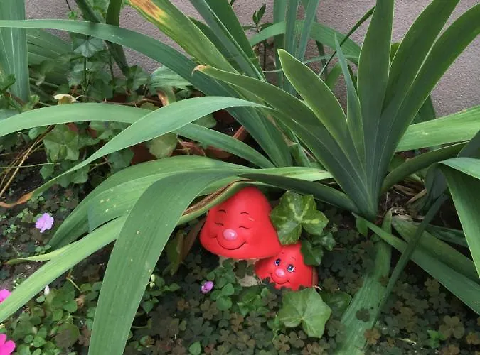 Vase Апарт-отель Равда