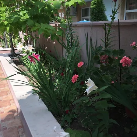 Апартхотел Vase 3*