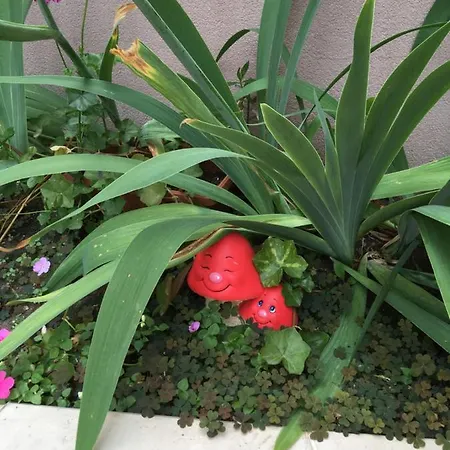 Vase Ξενοδοχείο με διαμερίσματα Ράβντα