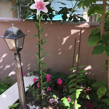 Vase 3*