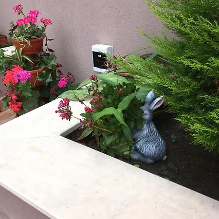 Ξενοδοχείο με διαμερίσματα Vase 3*