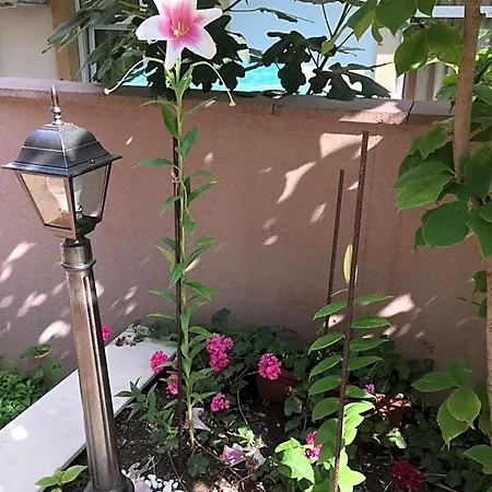 Vase Aparthotel 3*