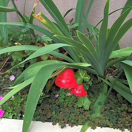 Vase Ravda