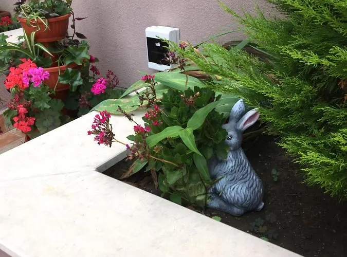 Апартхотел Vase 3*